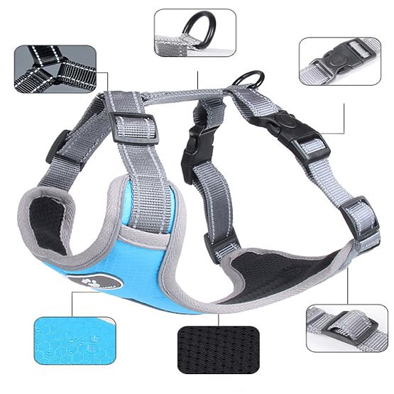 ASTRO kék edző kutyahám S méret