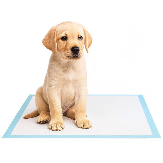 BARRY higiénikus alátétek állatoknak 60x90 50 db