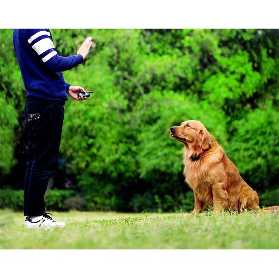 ELEKTROMOS KUTYAKIKÉPZŐ NYAKÖRV pj-098