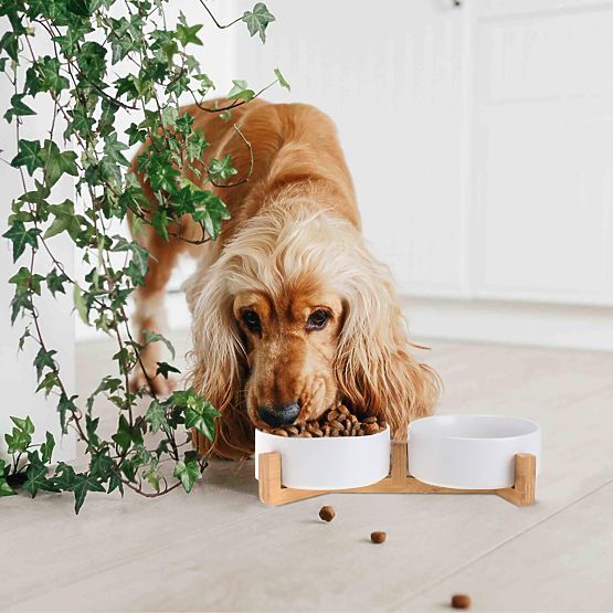 FEHÉR ETETŐ- ÉS VÍZTÁL ÁLLATOKNAK 331579