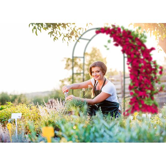 Fém pergola ív fekete 240 cm