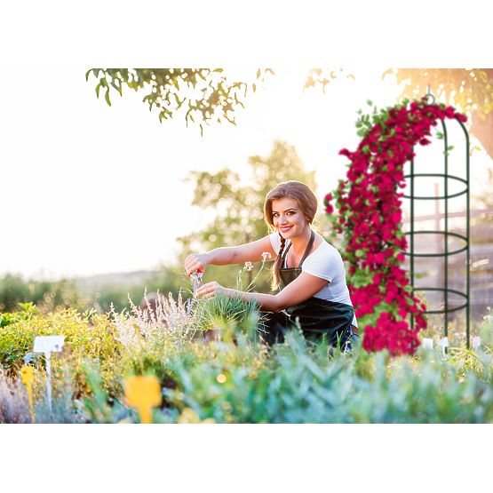 Fém pergola oszlop sötétzöld 190 cm