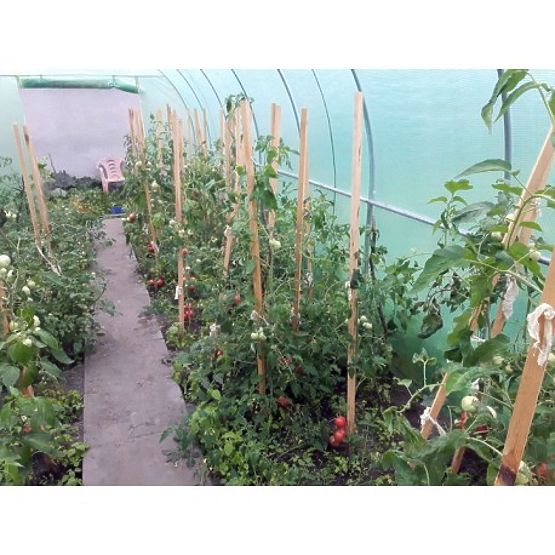 Fólia alagút - kerti üvegház - 3x6 m