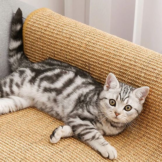 MACSKA KAPARÓSZŐNYEG 60x40cm 332494