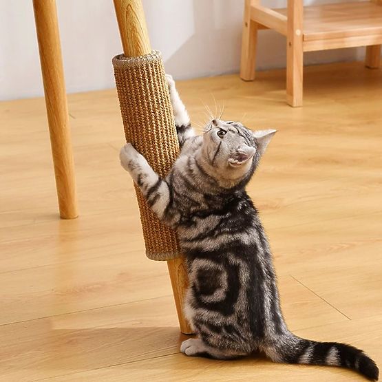 MACSKA KAPARÓSZŐNYEG 60x40cm 332494