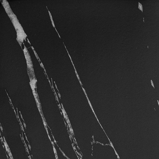 Mogren virágtartó fekete márvány