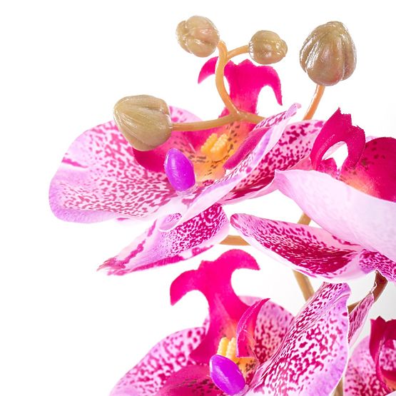 Művirág FALENI lila szín modern stílus ameliahome