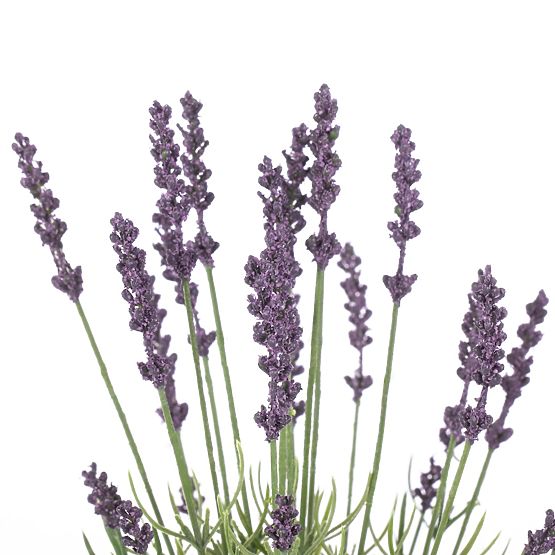 Művirág LAVI lila szín boho stílus ameliahome