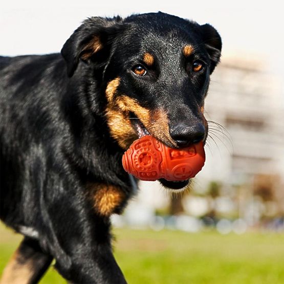 Piros rágógolyó kutyáknak PJ-046