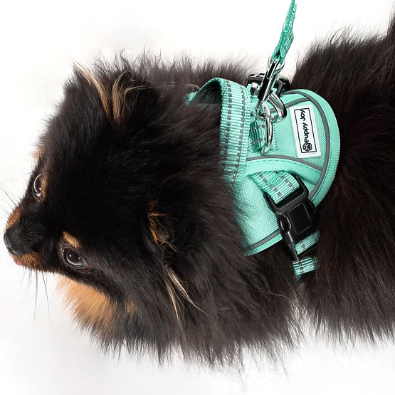 PJ-049 zöld XS kutyahám és póráz