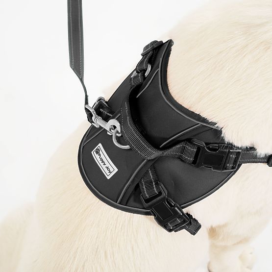 PJ-063 fekete XL kutyahám és póráz