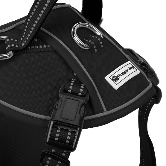 Póráz és hám kutyáknak PJ-047 fekete XS