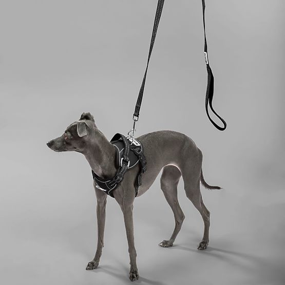 Póráz és hám kutyáknak PJ-055 fekete M