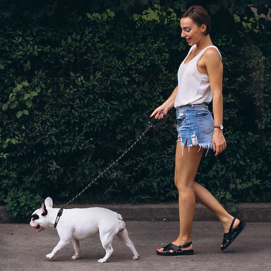 Reflexiós póráz és nyakörv kutyáknak PJ-091 fekete