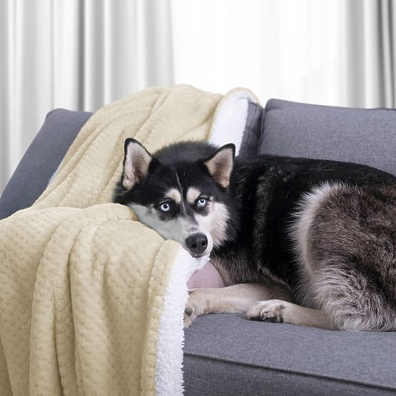 SHLEEPY takaró bézs színben, jacquard mintás, klasszikus stílusú, 130x180