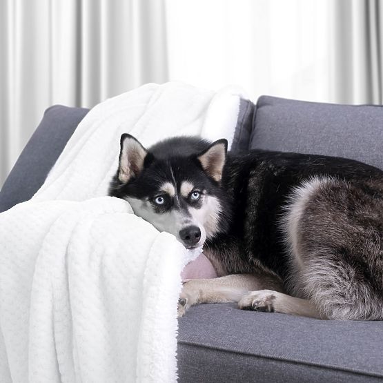 SHLEEPY takaró fehér színű, jacquard mintás, klasszikus stílusú 170x210