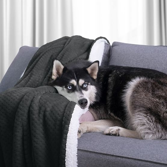 SHLEEPY takaró grafit színű, jacquard mintás, klasszikus stílusú 170x210