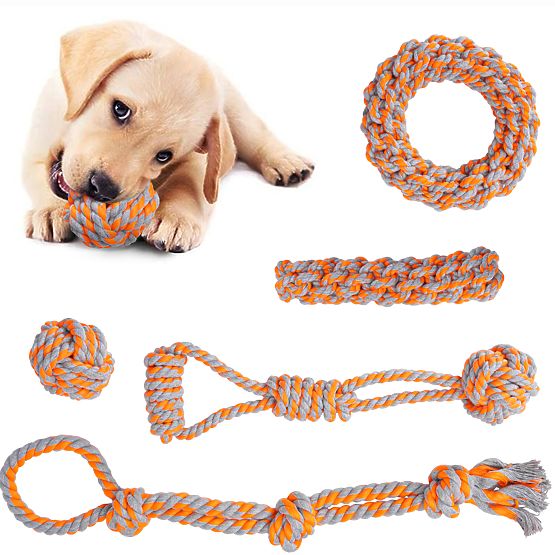 SPANKY 5 darabos kutyahúzó játék készlet