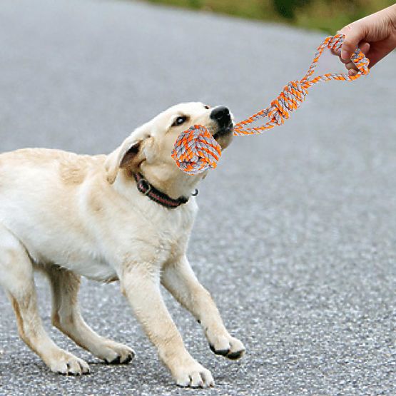 SPANKY 5 darabos kutyahúzó játék készlet