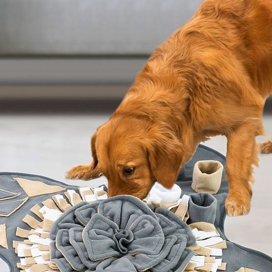 SZAGLÓ SZŐNYEG KUTYÁKNAK PJ-028