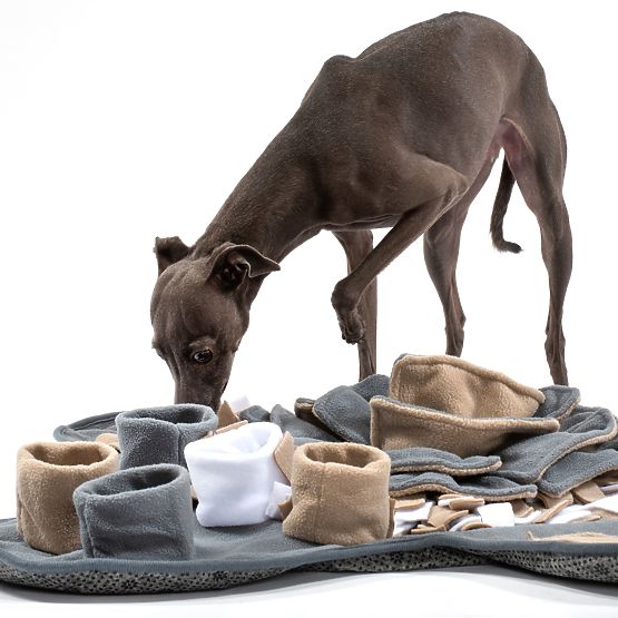 SZAGLÓ SZŐNYEG KUTYÁKNAK PJ-028