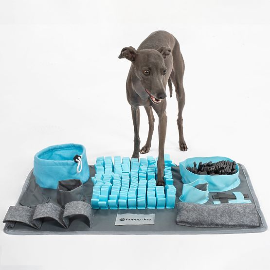 SZAGLÓSZŐNYEG KUTYÁKNAK PJ-029