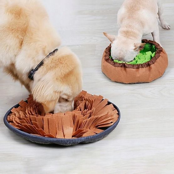 SZAGLÓSZŐNYEG KUTYÁKNAK PJ-095