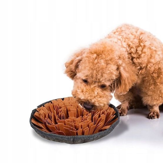 SZAGLÓSZŐNYEG KUTYÁKNAK PJ-095