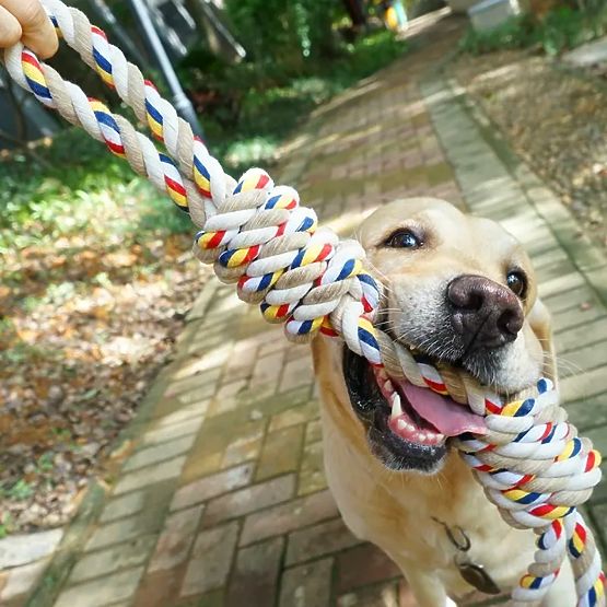 WALLY 60 cm-es csomós húzójáték