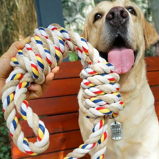 WALLY 60 cm-es csomós húzójáték