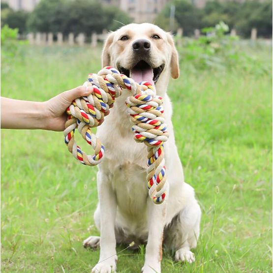 WALLY 60 cm-es csomós húzójáték