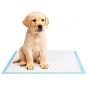 BARRY higiéniai alátétek állatoknak 50 db