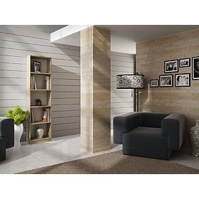 Onyx R40 SONOMA polc