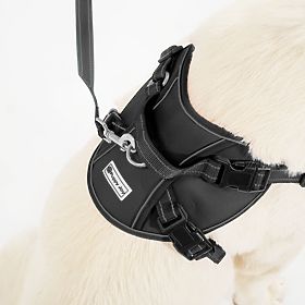 PJ-063 fekete XL kutyahám és póráz, PuppyJoy