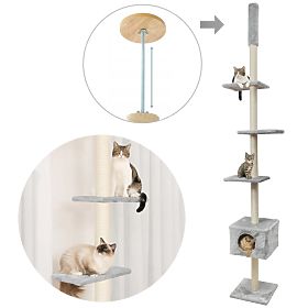SZÜRKE MENNYEZETI MACSKAKAPARÓ P70374